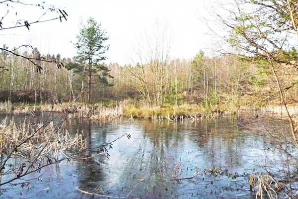 An den Teichen&hellip;